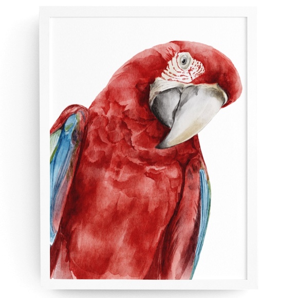 Other - Red Macaw Parrot Watercolor Wall Art Print Poster Unframed